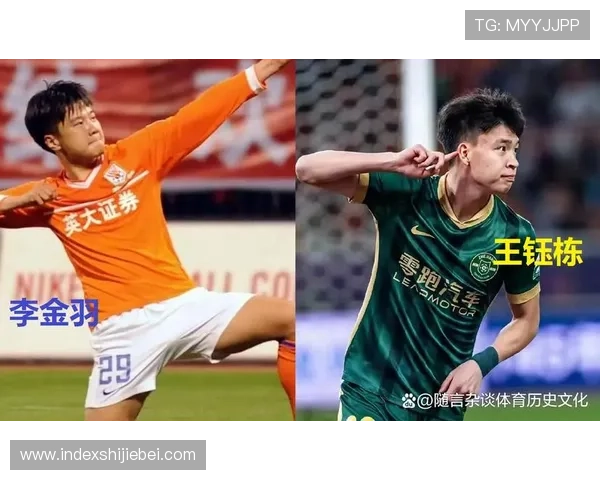 中国足球在世界杯中的战绩与青训体系建设的关系研究